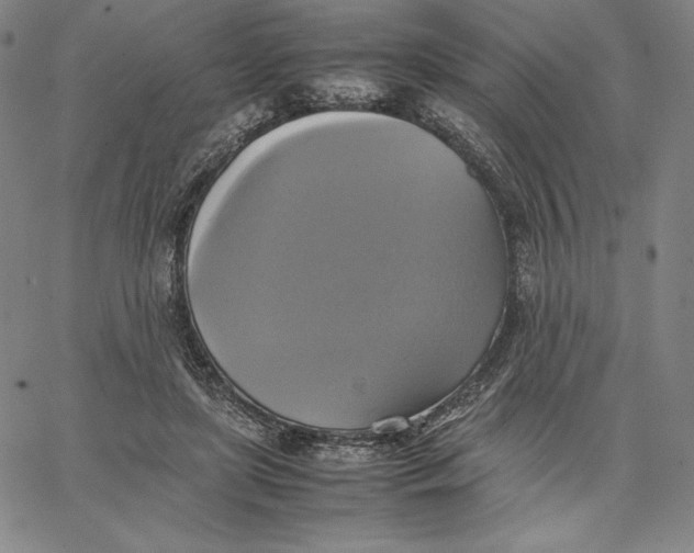 X0000066520451200604071556