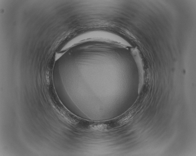 X0000066520452200604071556