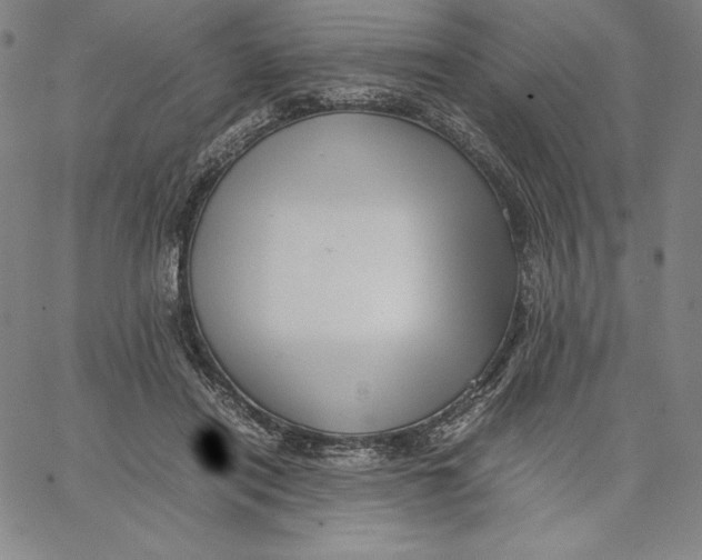 X0000066520454200604071556