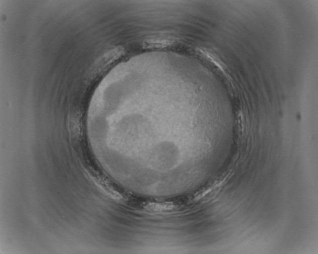 X0000066520455200604071556