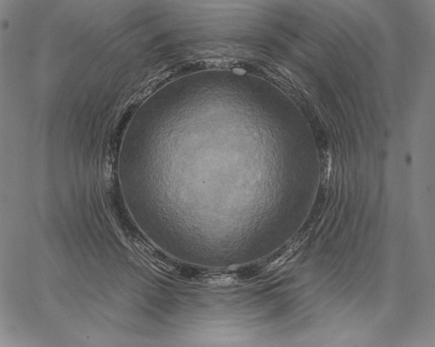 X0000066520456200604071556