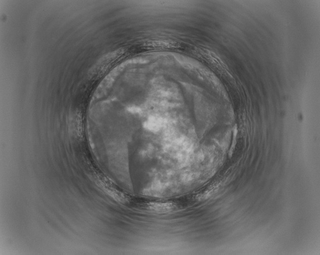 X0000066520457200604071556