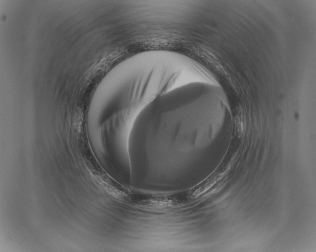 X0000066520458200604071556