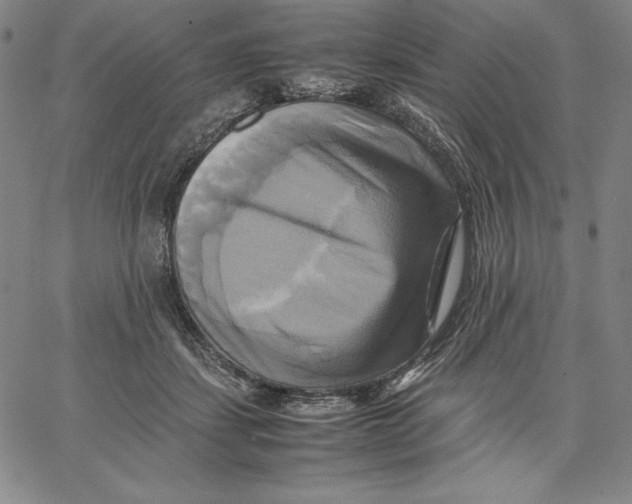 X0000066520459200604071556