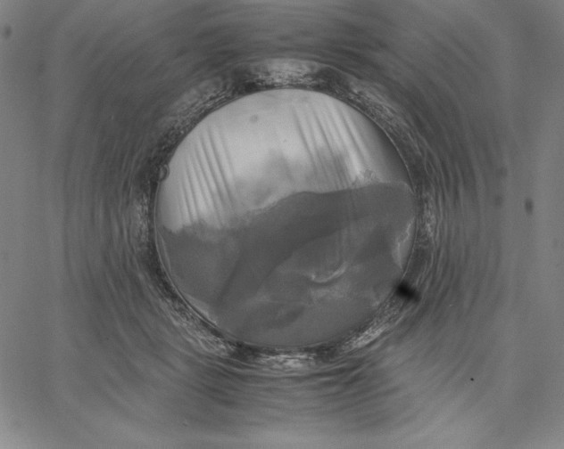 X0000066520461200604071556