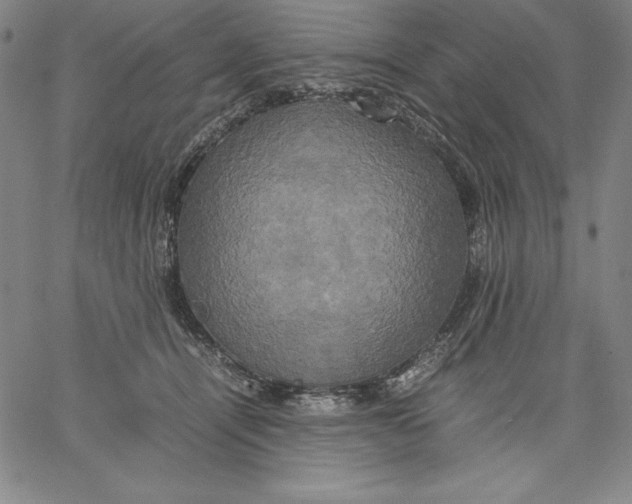 X0000066520464200604071556