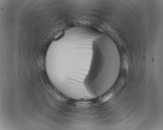 X0000066520465200604071556