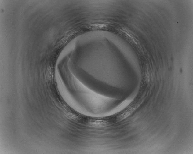 X0000066520467200604071556