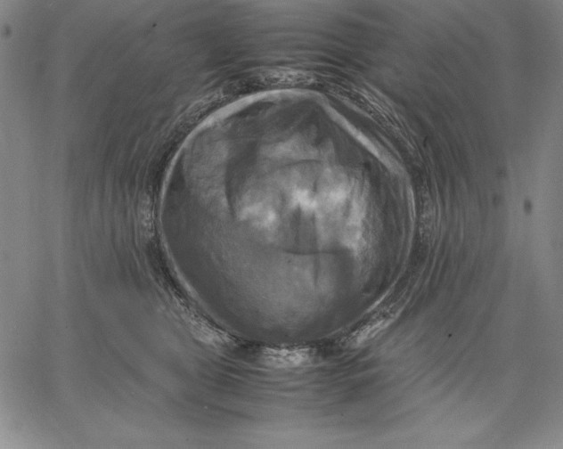 X0000066520469200604071556