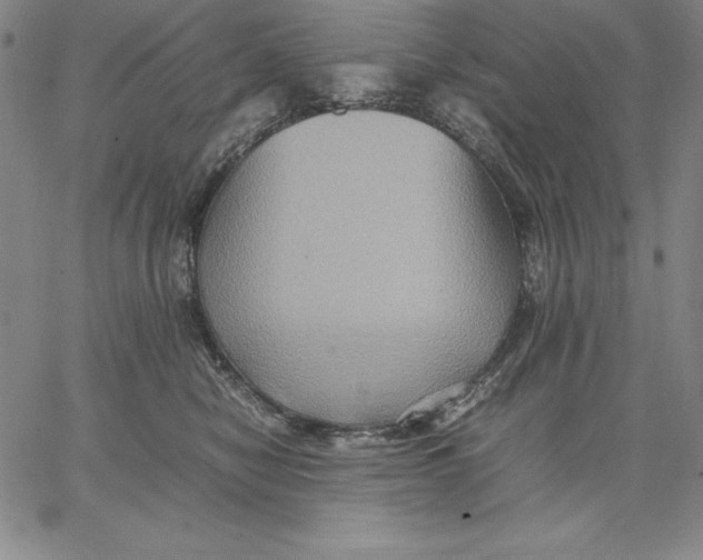 X0000066520470200604071556