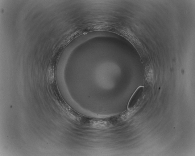 X0000066520471200604071556