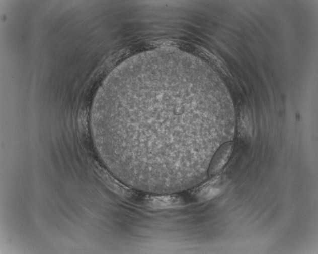 X0000066520473200604071556