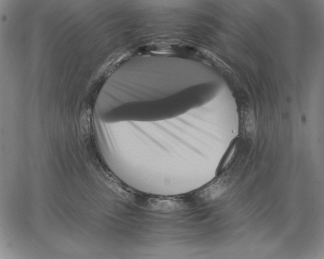 X0000066520475200604071556