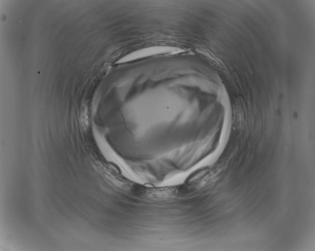 X0000066520479200604071556