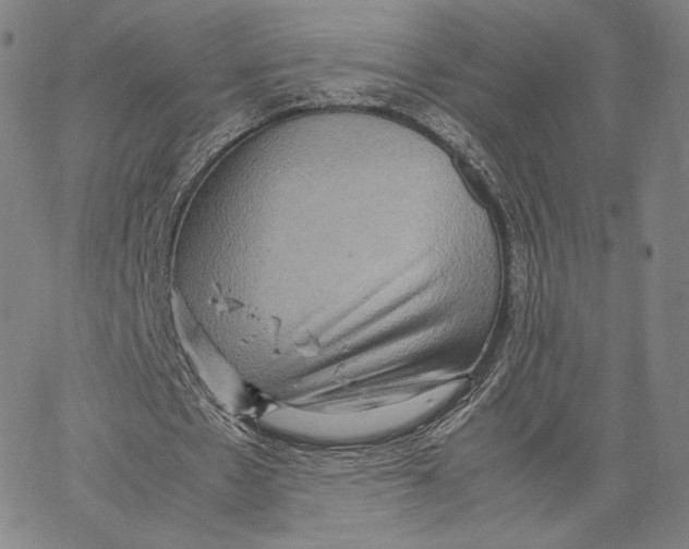 X0000066520481200604071556