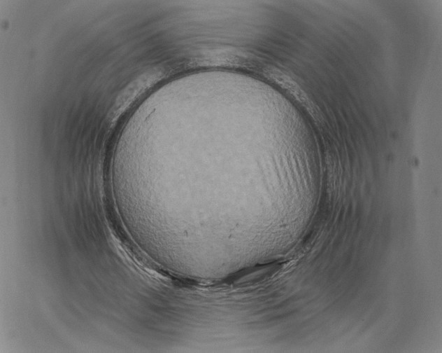 X0000066520482200604071556