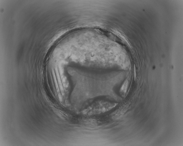 X0000066520483200604071556