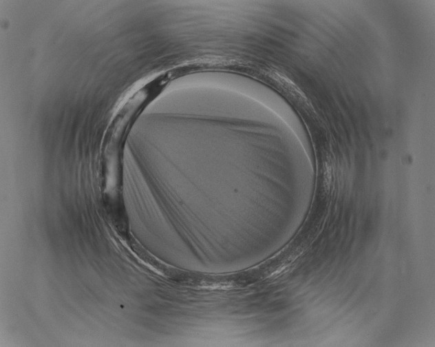 X0000066520484200604071556