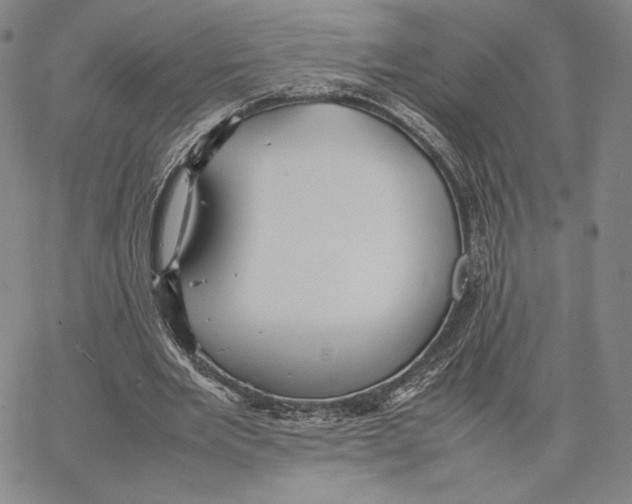 X0000066520485200604071555