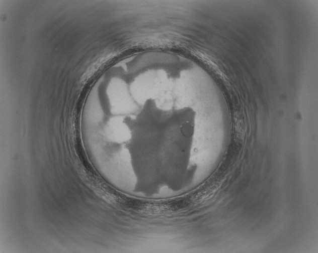 X0000066520487200604071555