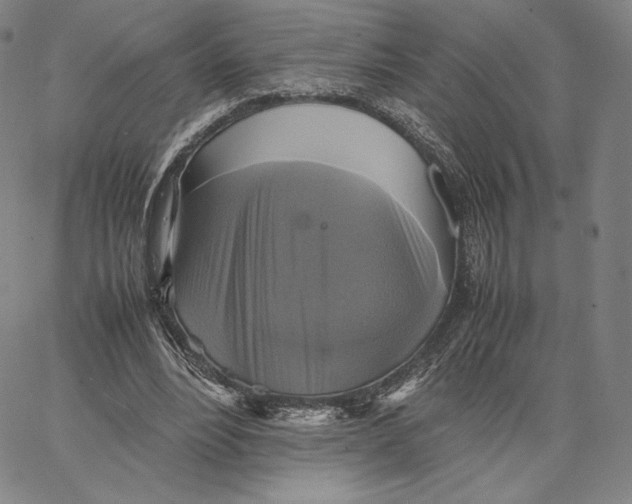 X0000066520488200604071555