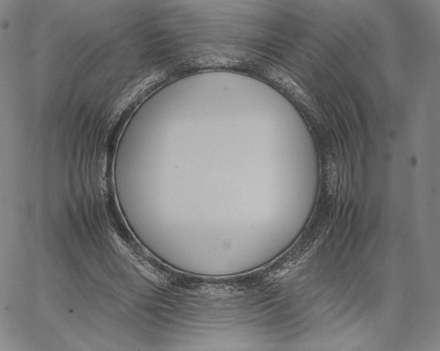 X0000066520490200604071555