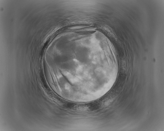 X0000066520491200604071555