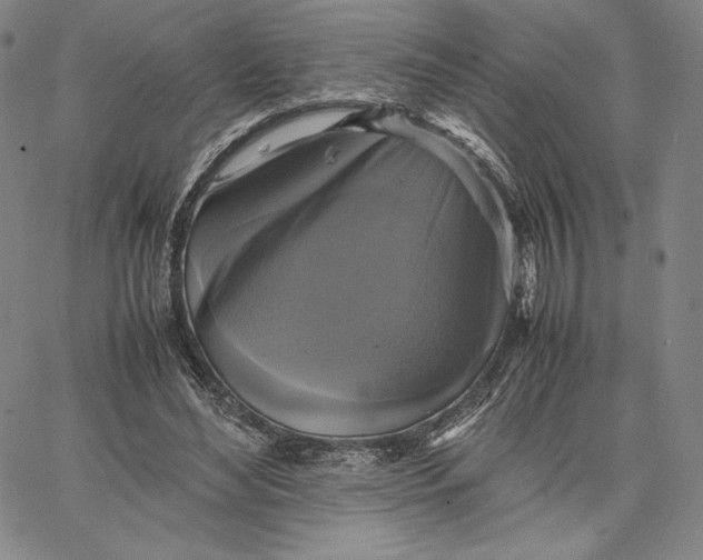 X0000066520492200604071555