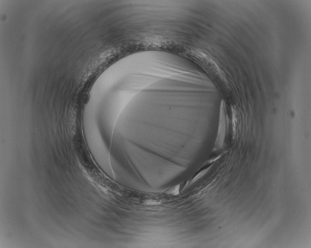 X0000066520496200604071555