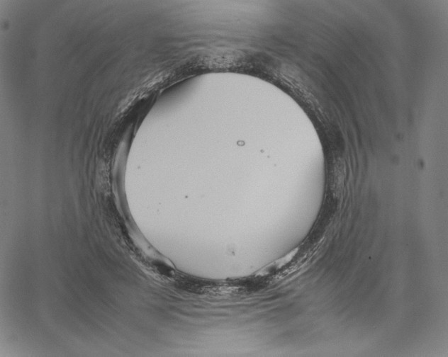 X0000066520497200604071555