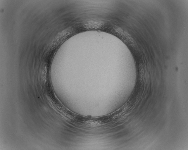 X0000066520498200604071555