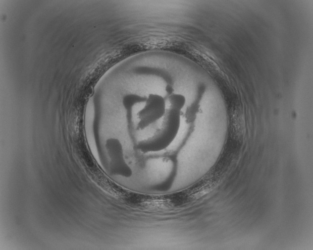 X0000066520499200604071555