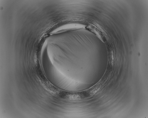 X0000066520500200604071555