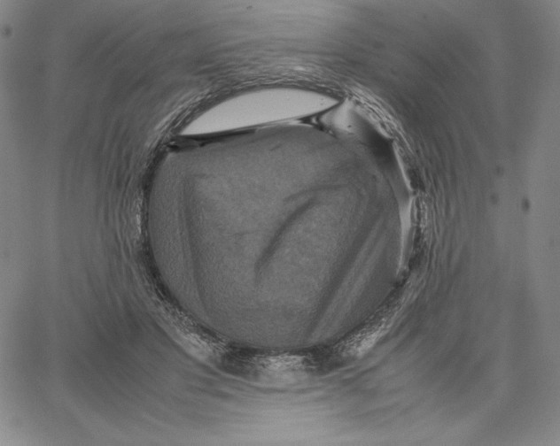 X0000066520501200604071555