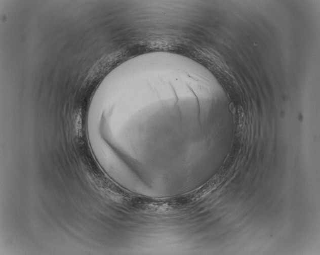 X0000066520502200604071555