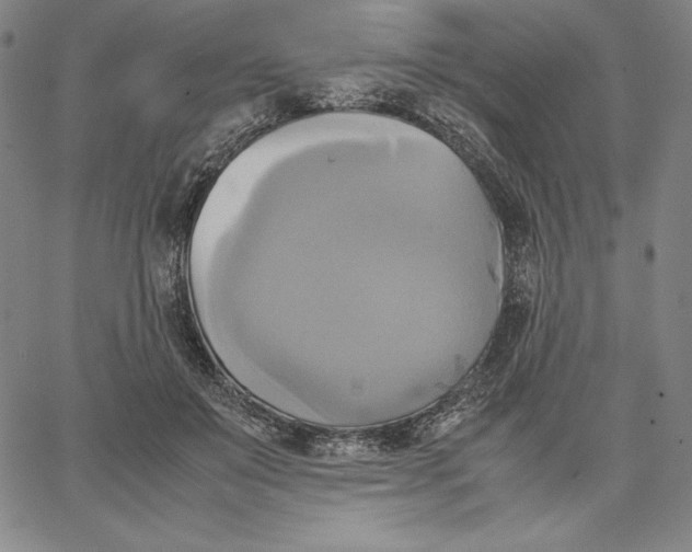 X0000066520503200604071555