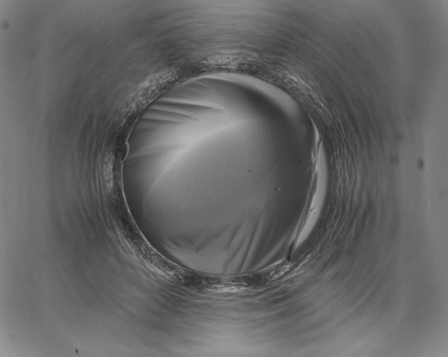 X0000066520504200604071555