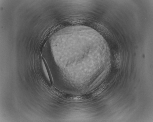 X0000066520506200604071555