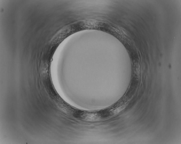 X0000066520507200604071555