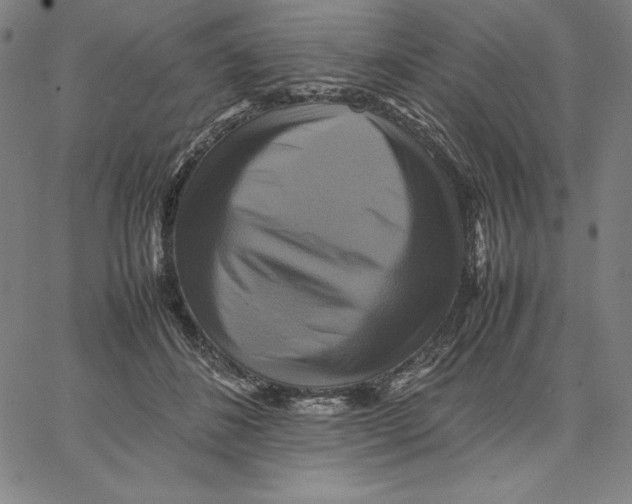 X0000066520508200604071555