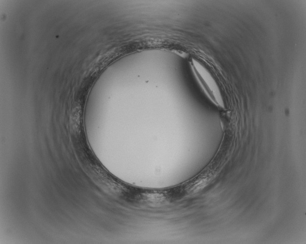 X0000066520509200604071555