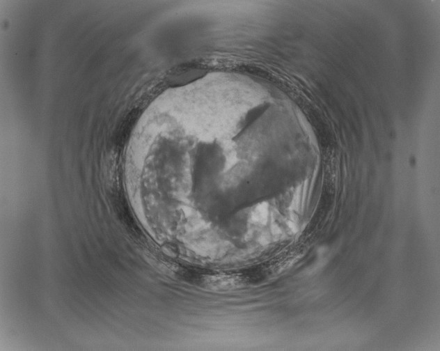 X0000066520511200604071555