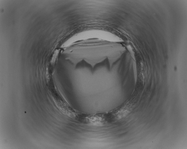 X0000066520512200604071555