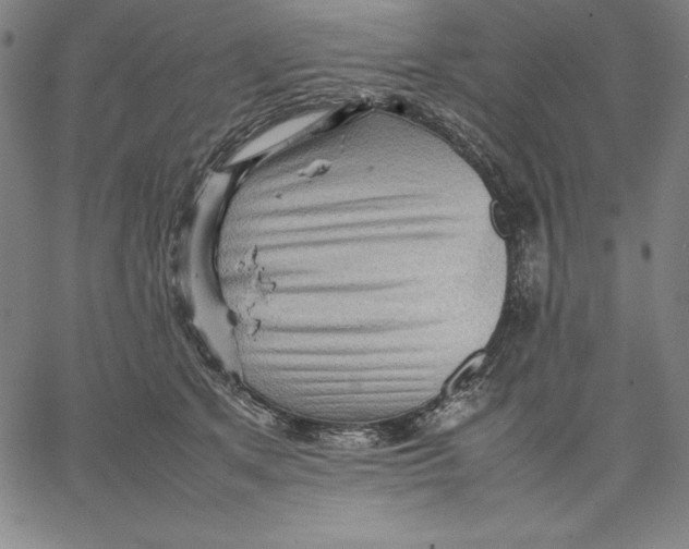 X0000066520513200604071555