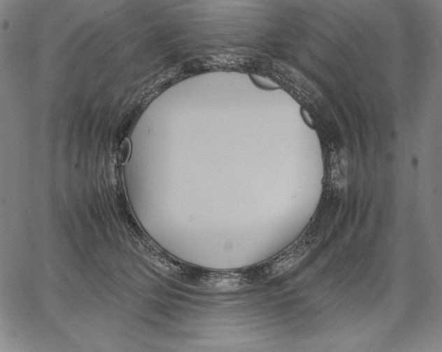 X0000066520514200604071555