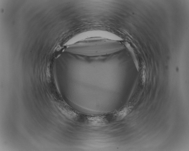 X0000066520516200604071555