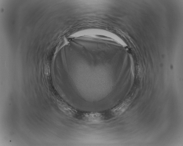 X0000066520517200604071555