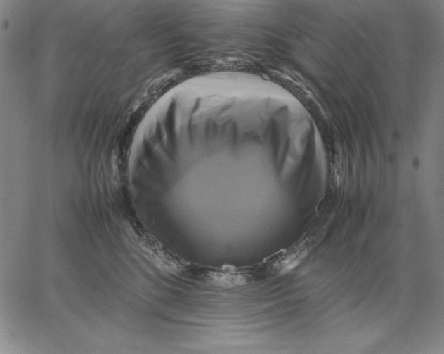 X0000066520520200604071555