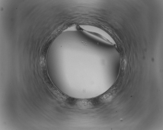 X0000066520521200604071555