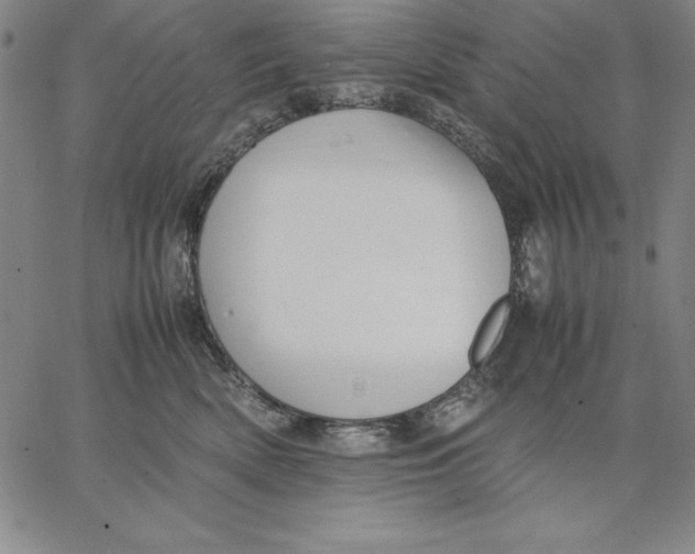 X0000066520522200604071555